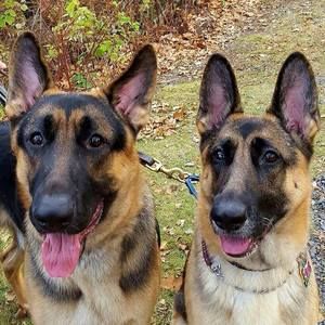 Meet your Posher, Liane